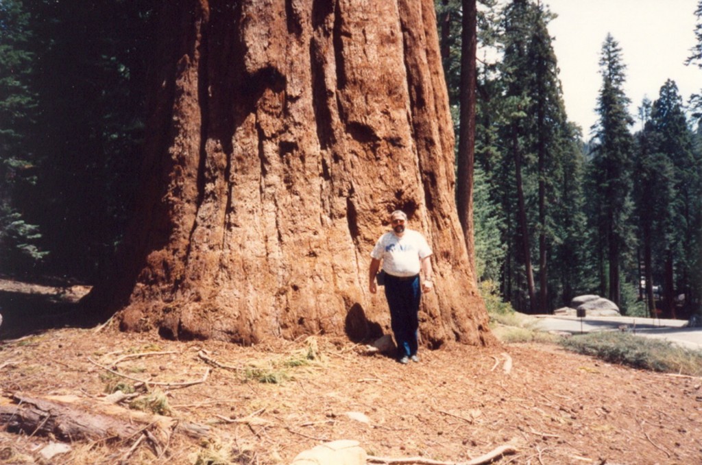 CH_11_SequoiaTree_GSF_001